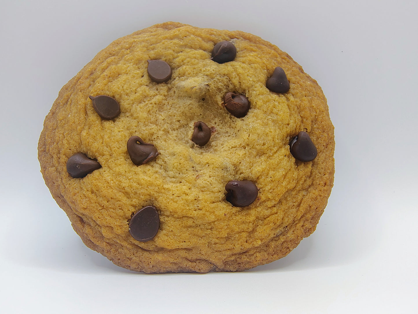 Chocolate Chip Cookie